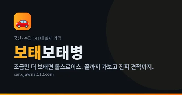 보태보태병 대표 이미지