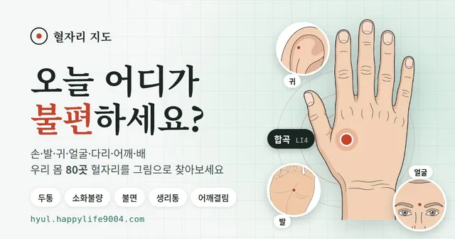 혈자리 지도 대표 이미지