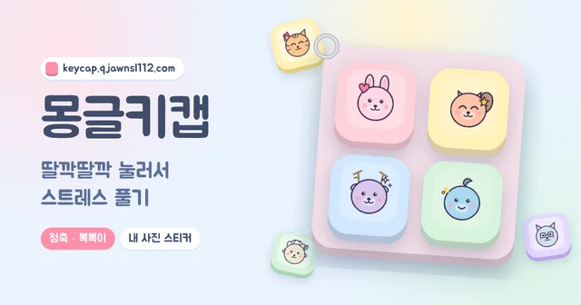 몽글키캡 대표 이미지